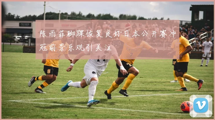 陈雨菲脚踝恢复良好日本公开赛冲冠前景乐观引关注